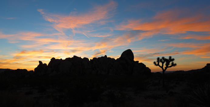 JT_atSunrise_1D X0661