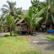PaintedHouse_OM74045
