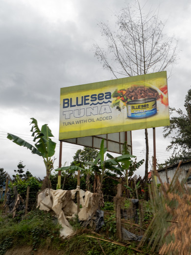 BlueSeaTuna_OM71195