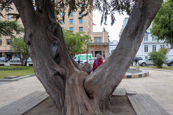 BigTreeAndSally_ZS70562