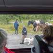 GauchosFromBus_ZS70655