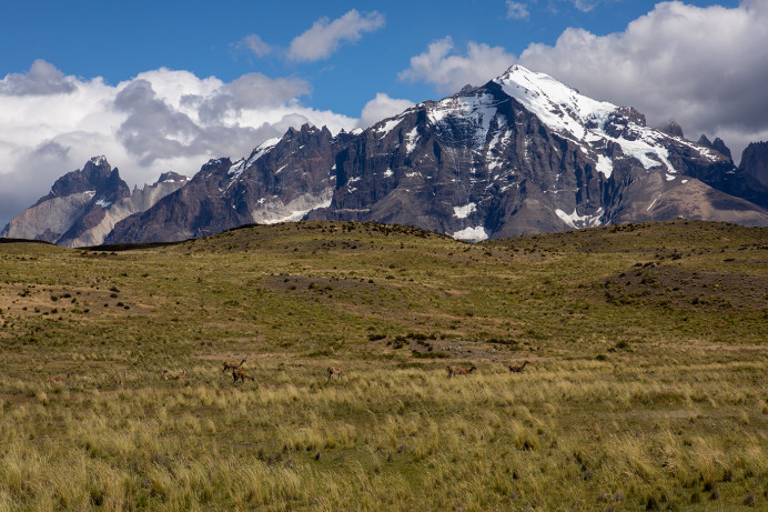 MtnsGuanacos_54D9127