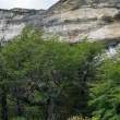 NearMylodonCave_ZS70760
