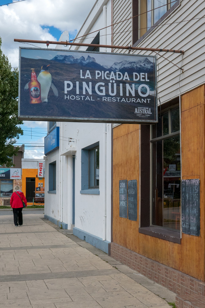PicadaDelPinguino_ZS70684