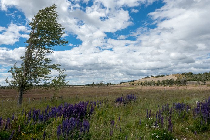 RioRubensScene_ZS70632