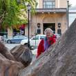 SallyPuntaArenas_ZS70569
