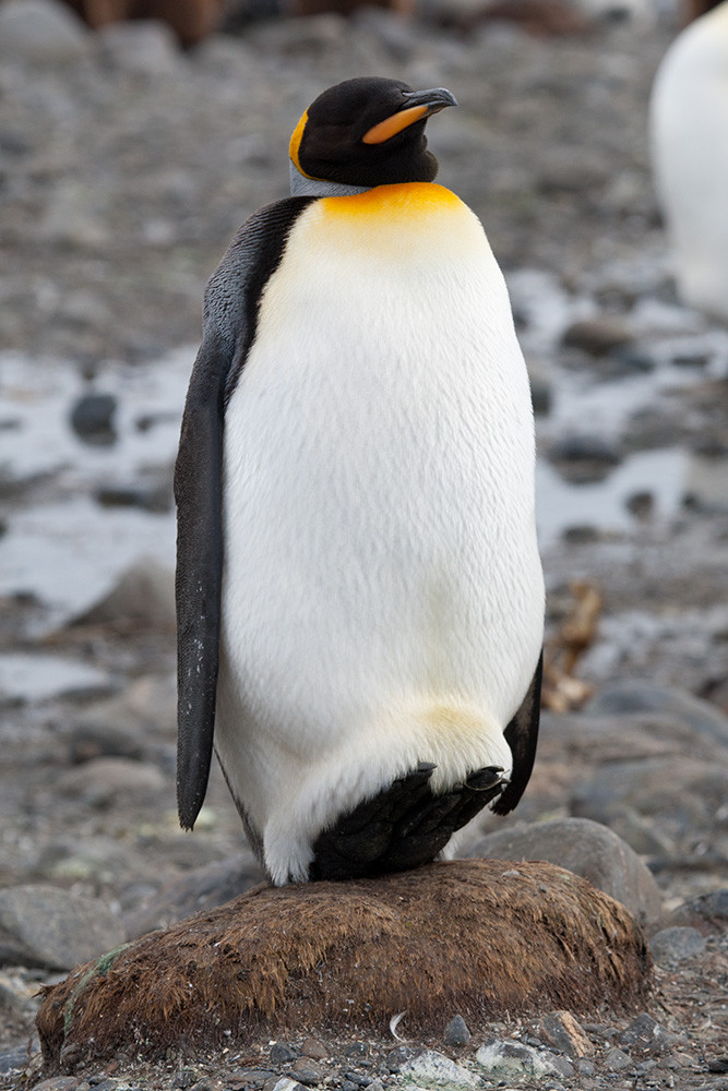WarmFeet_SalisburyPlain_3D8350