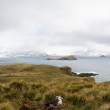 Prion Island
