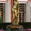 Fountain at Peterhof