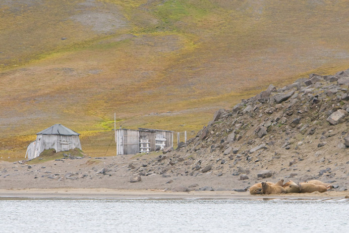 Huts1723