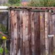TDC_BrownDoor_1X33440
