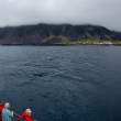 Tristan da Cunha