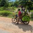 BoyManBananasBike_OM65059