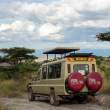 OurTransport_OM65193