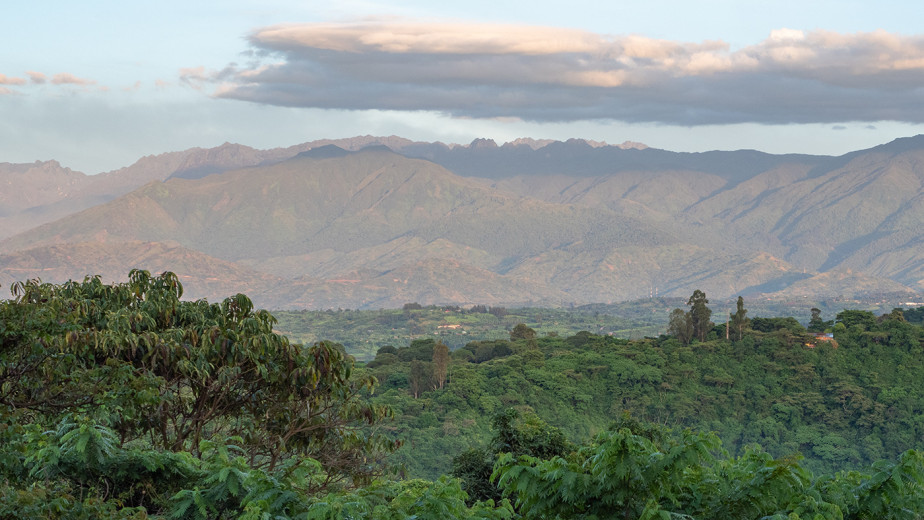 RwenzoriMtnsFromNdaliLodge_OM64656