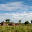 TraditionalHousingGroup