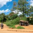 UgandaTaxiStand8x10_OM63904