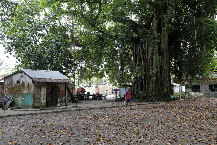 Old Mangrove Park