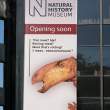 British Natural History Museum banner