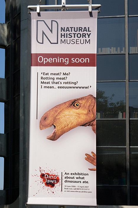 British Natural History Museum banner