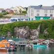 Dock with kittiwake colony (on cliff) and supermarket (green), Dunmore East, Co. Waterford, Ireland