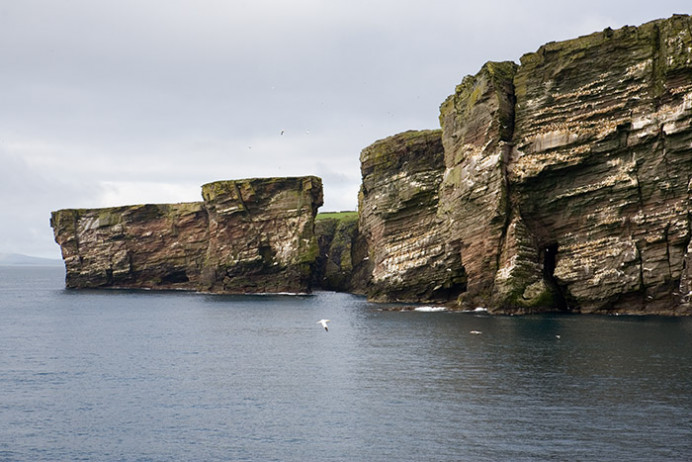 Holm of Noss and Isle of Noss
