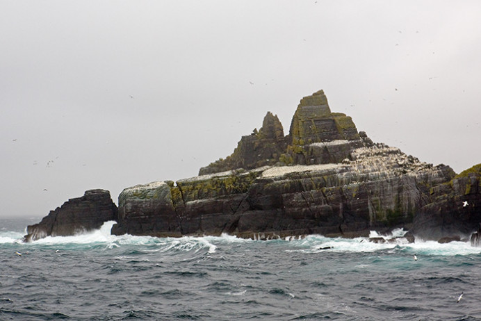 Gannetry on Little Skellig, off the Irish coast
