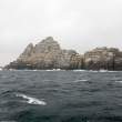 Little Skellig, home to many nesting gannets