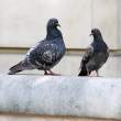 Two Londoners