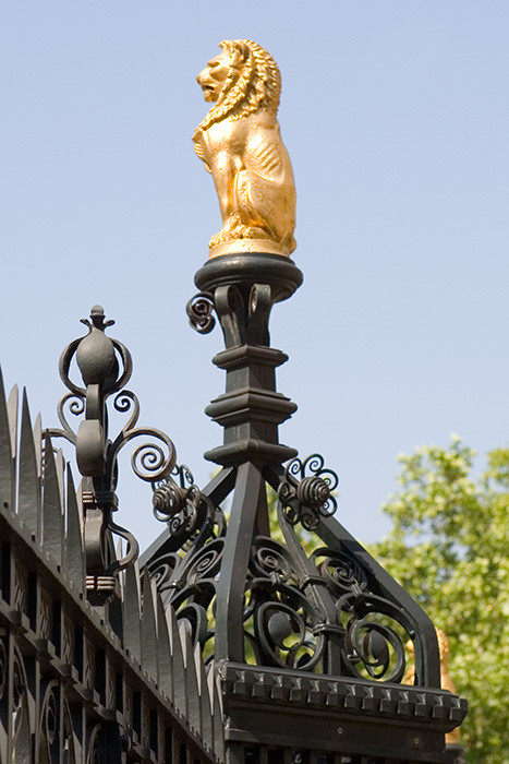 Lion on fence at Natural History Museum