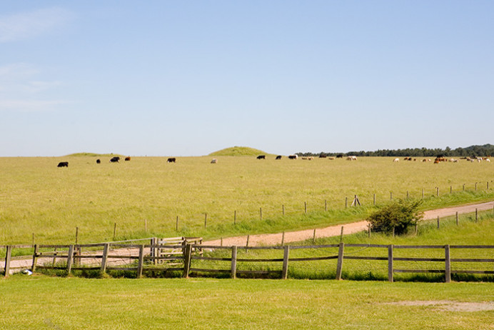 Field near Stonehenge with burial mounds at horizon