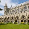 Cloister and cathedral, Salisbury