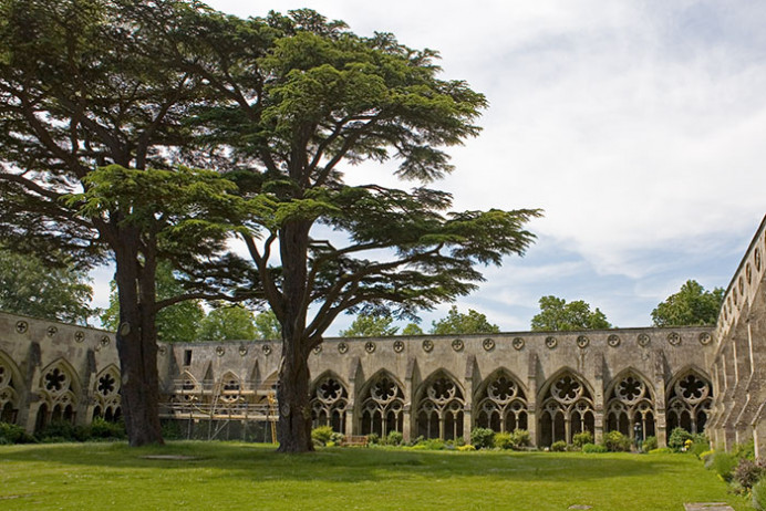 Cloister, Salisbury Cathedral