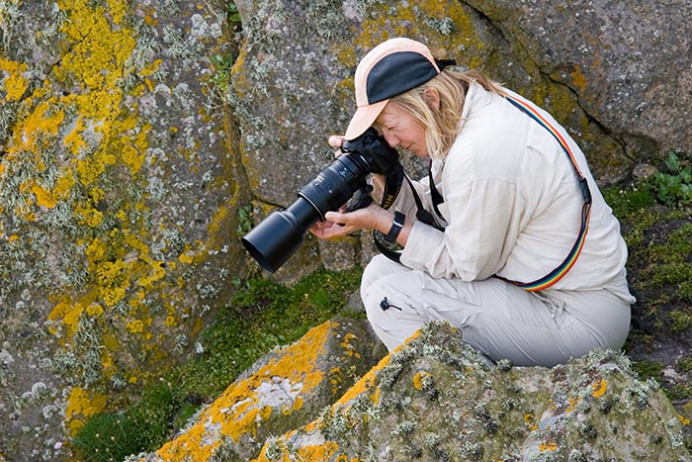 Shirley Metz at work, Great Saltee Island, off the southeastern coast of Ireland