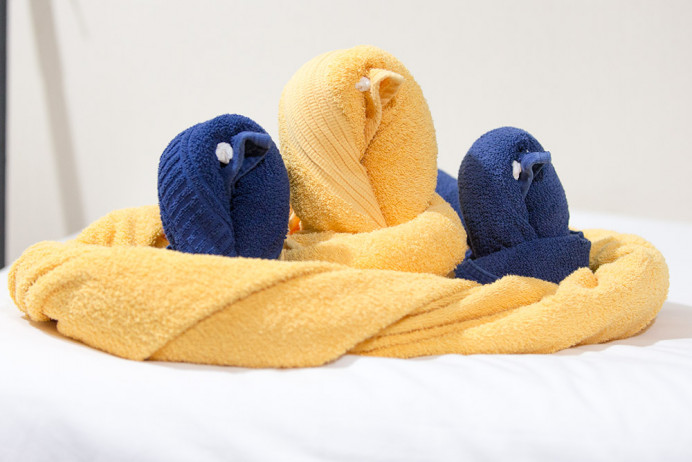 Boobies_1D X9058