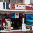 AlbatrosDive_1D X4179