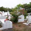Cemetery_1D X4165