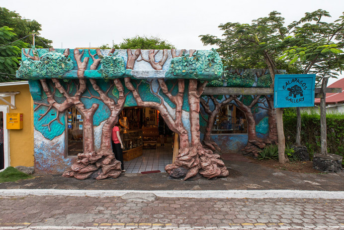 GalapGallery_1D X4175