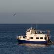 KingOfTheSea2_1D X8872