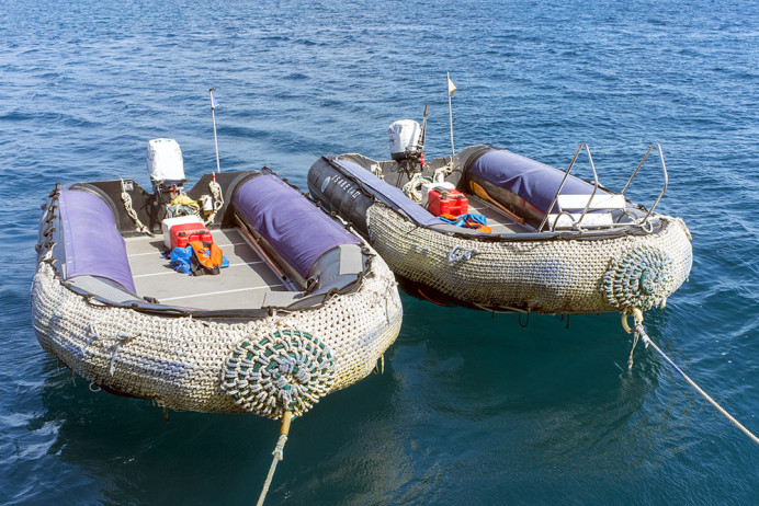 Zodiacs_FX0460