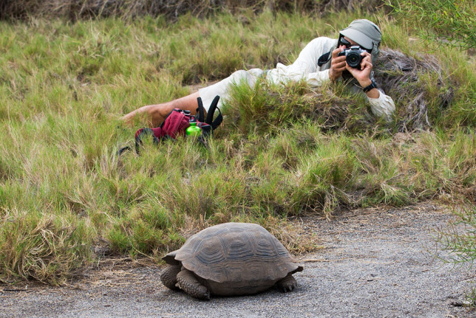 TortoisePhotographer_1D X8164