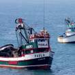 Fishing boats, Callao, Peru. The port city of Lima.