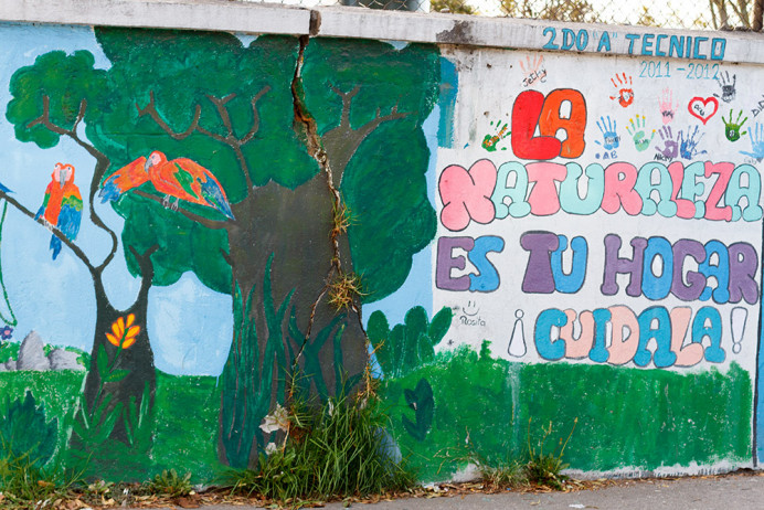 Nature is your home. Quito.